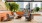 Outdoor Terrace