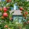 Community Garden - Apple Tree